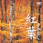 紅葉-もみじ-/BGV[DVD]【返品種別A】