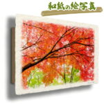 和紙 アートパネル 30x21cm 秋 紅葉 木 森 「一面の赤と緑のモミジ」 絵画